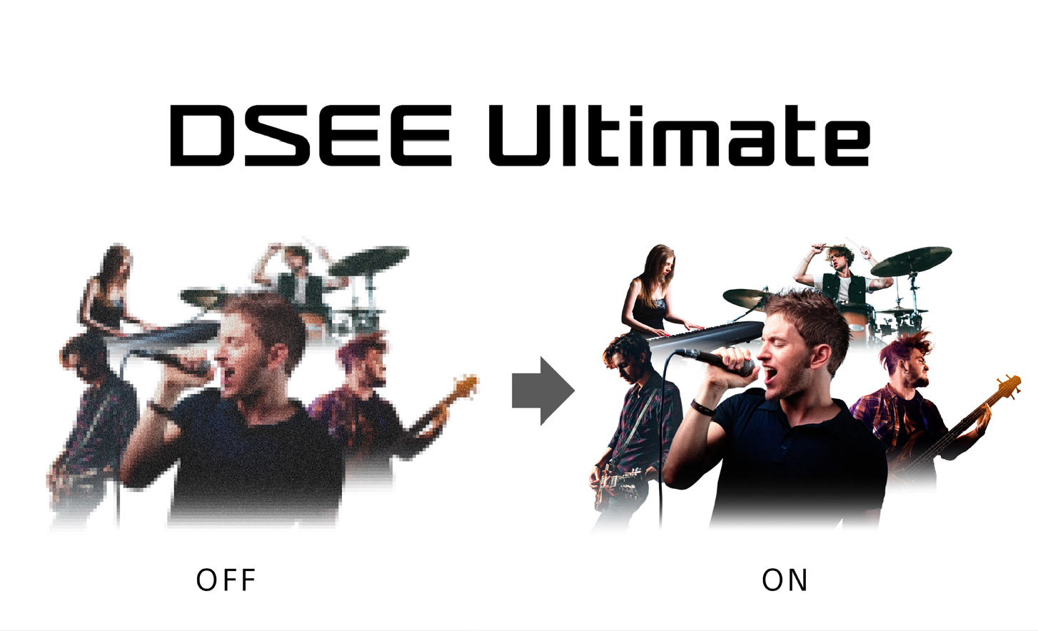Logo technologii DSEE Ultimate